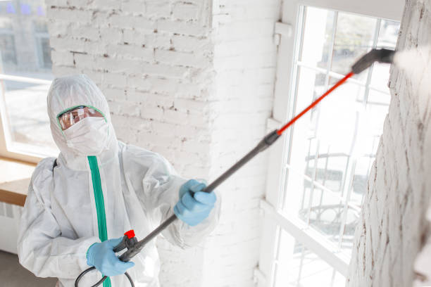 Best Asbestos and Lead Testing During Mold Inspection  in Manasota Key, FL