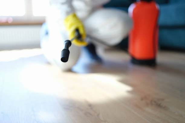 Best Real Estate Mold Inspection  in Manasota Key, FL